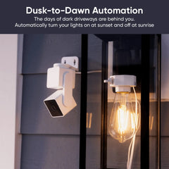 Pan v3 + Lamp Socket v2 Bundle