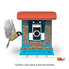 Wyze Bird Feeder