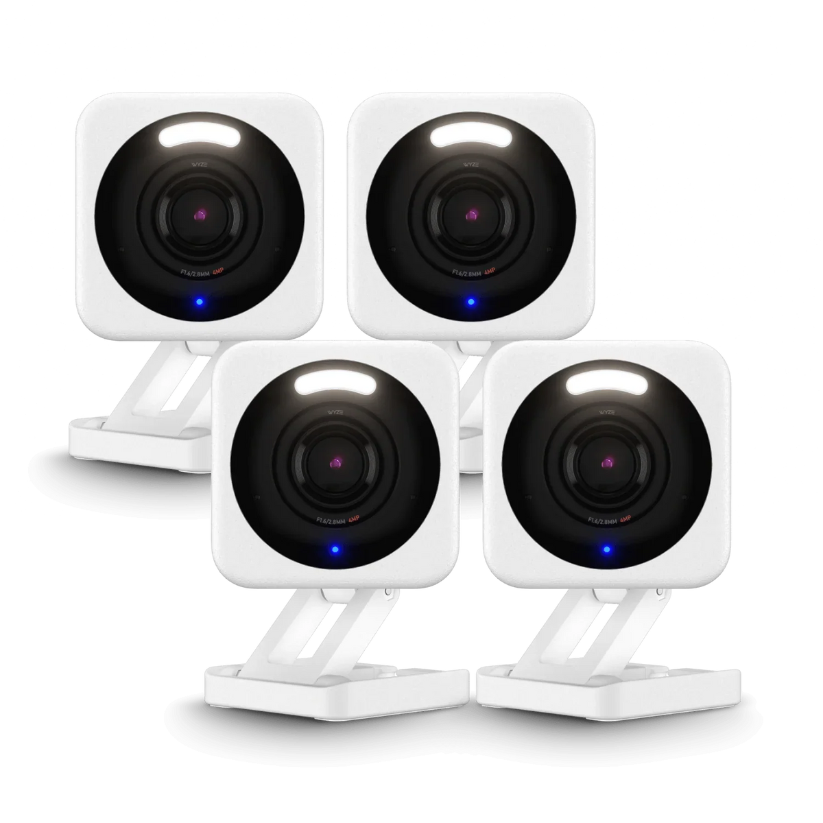Small Business Monitoring Basic