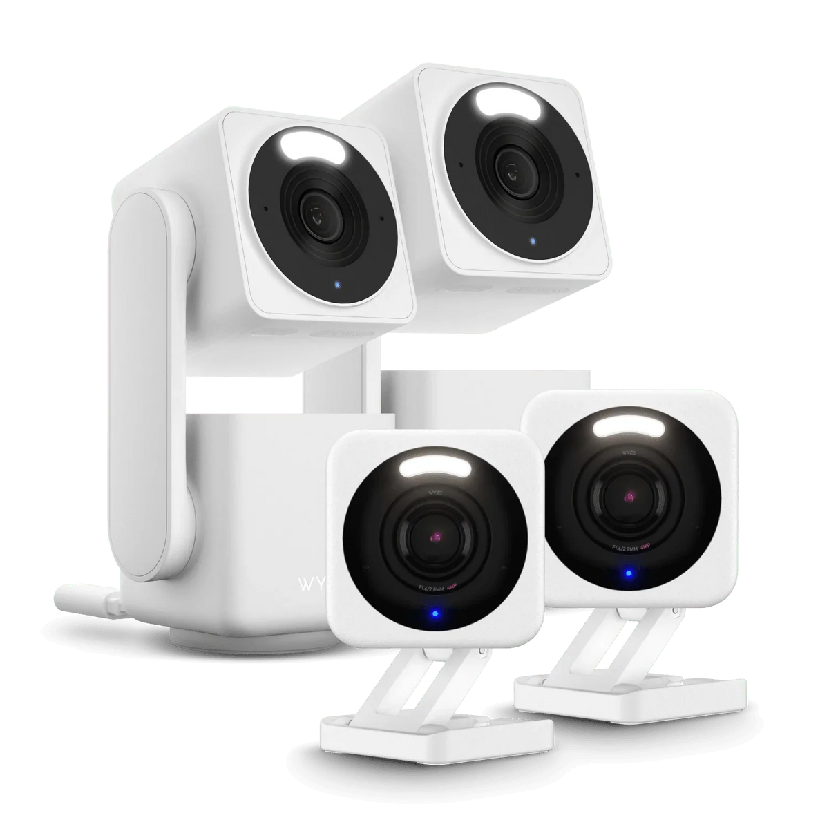 Small Business Monitoring Plus